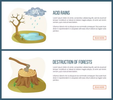 Ormanların Tahrip Edilmesi, Asit Yağmurları Web Sitesi Seti