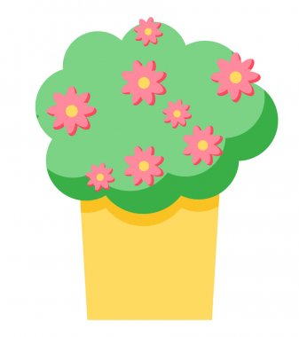 Mandevilla Çiçek Saksıda Büyüyen, Flora Dekor