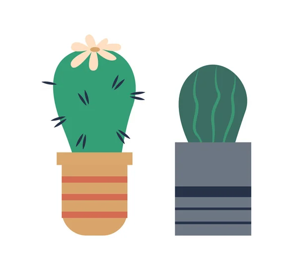 Рослина кактус, що росте в горщику, квітучий набір Cacti — стоковий вектор