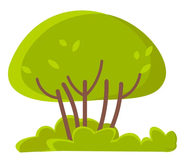Arbres ou buissons verts, Plantes printanières isolées à l'herbe — Image vectorielle
