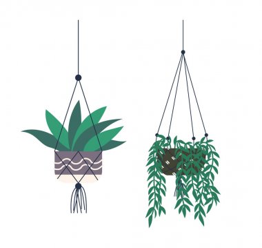 Çiçek ve Yeşillik Dalları ile Asma Tencereler