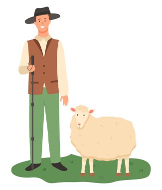 Çiftçi mera üzerine koyun, tarım erkek çalışma