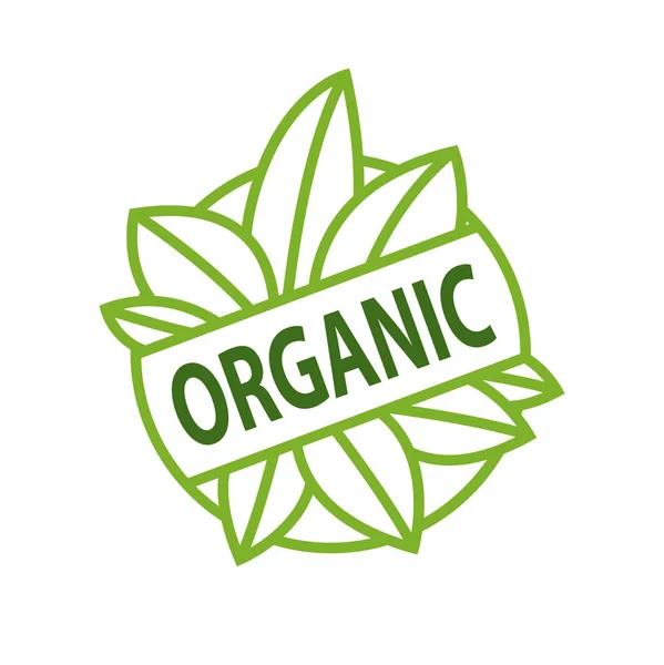 Organiczne logo napis na zielone liście izolowane — Wektor stockowy