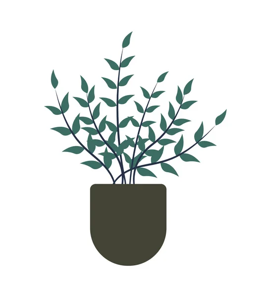 Zimmerpflanze erinnert an Baum, Sträucher im Blumentopf — Stockvektor