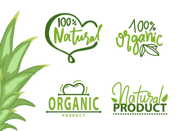 Símbolo saludable, Producto orgánico, Eco Logo Vector — Vector de stock