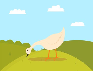 Çimüzerinde Çiftlik Kuşu, Kaz Yeme, Tarım Vektör