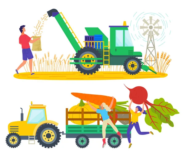 Cosechando personas en el tractor de campo con verduras — Vector de stock