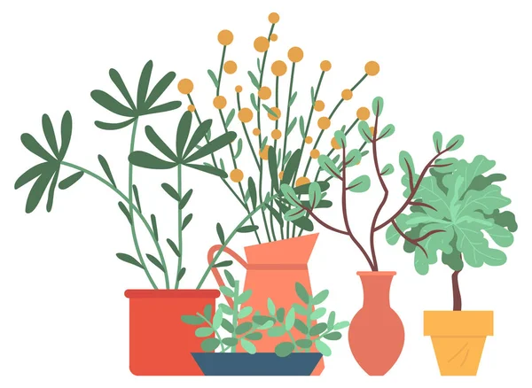 Plantes d'intérieur dans des pots ou des vases Plantes Vecteur de feuillage — Image vectorielle