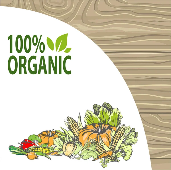 Prodotto Naturale Bio Ingredienti Zucca e Pepe — Vettoriale Stock