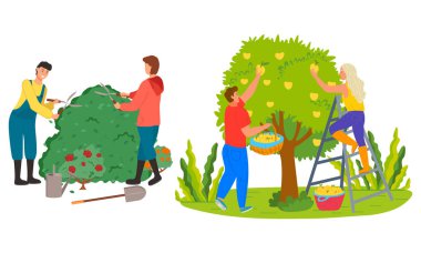 Bahçe Gülleri Budama Vektöründe Çiftçiler Hasat Ediyor