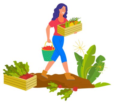 Çiftçi Kadın Gülümseyen Hasat Çiftçi Plantasyon