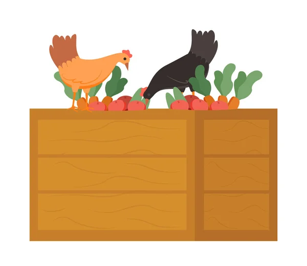 Pollo su scatola di legno Mangiare carote Vettore alimentare — Vettoriale Stock