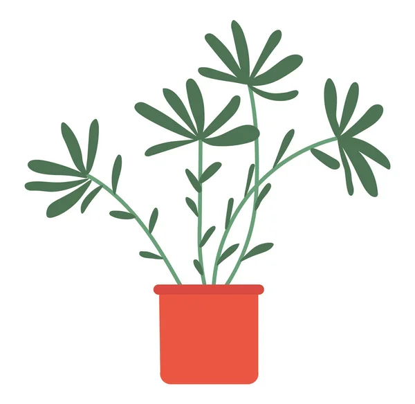 Οικιακό φυτό σε pot απομονωμένο σπίτι εσωτερική διακόσμηση — Διανυσματικό Αρχείο