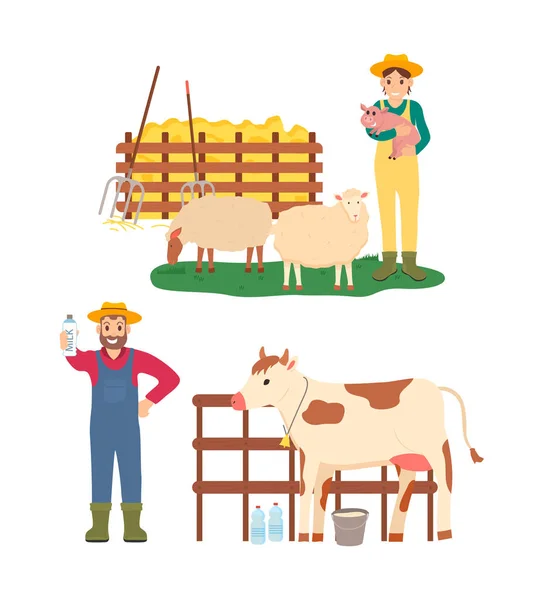 Agriculture Hommes et femmes avec cochon et vache — Image vectorielle