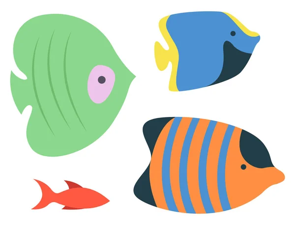 Druhy ryb v mořském oceánu, izolované akvarijní stanoviště — Stockový vektor
