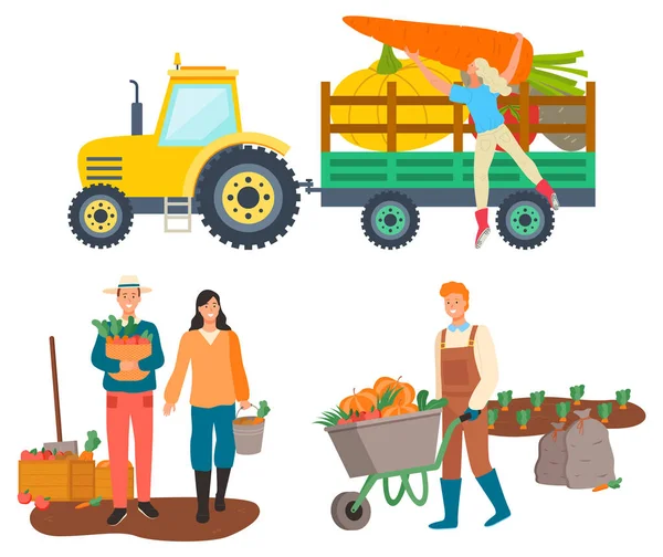 Farming People, Tractor Transportation of Goods — Stock Vector