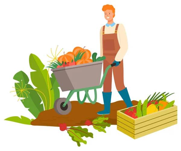 Raccolta uomo con carrozza, piantagione di carote — Vettoriale Stock