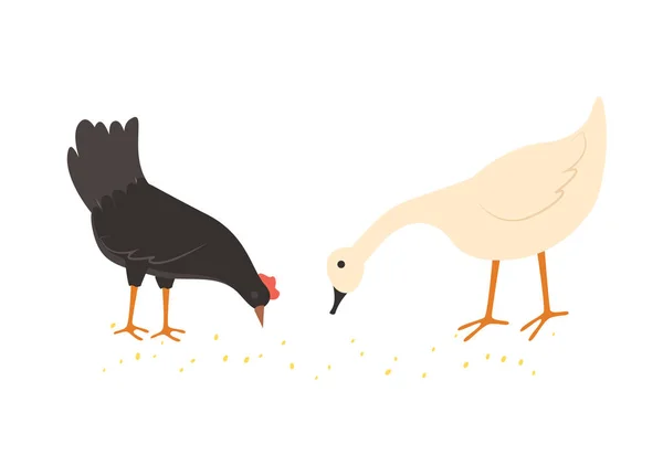 Comida de gallina y ganso de tierra, Vector — Vector de stock