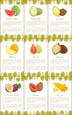 Karpuz Ambarella, Cupuacu Kavun, Guava, Marang