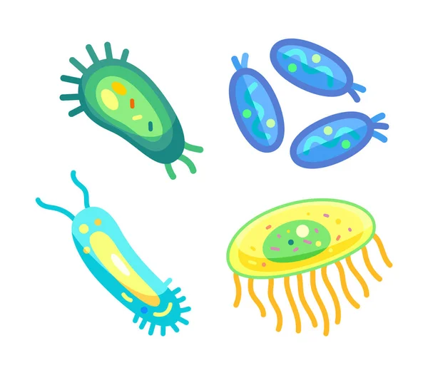 Conjunto de bactérias Diferentes Germes Vetor Ilustração —  Vetores de Stock