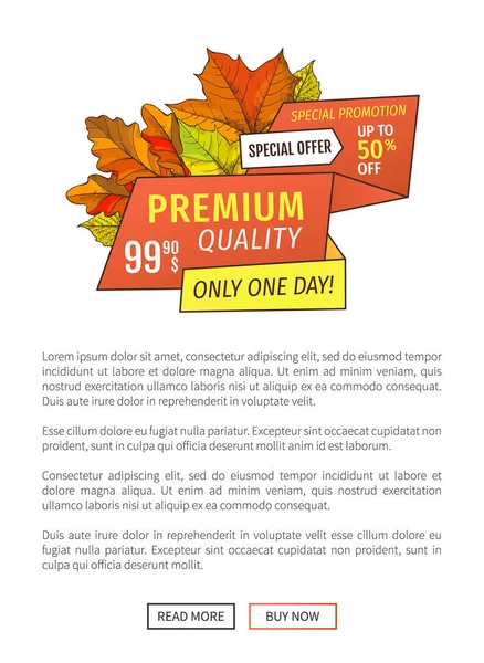 Premium Offre spéciale Day Super Half Price Affiche — Image vectorielle