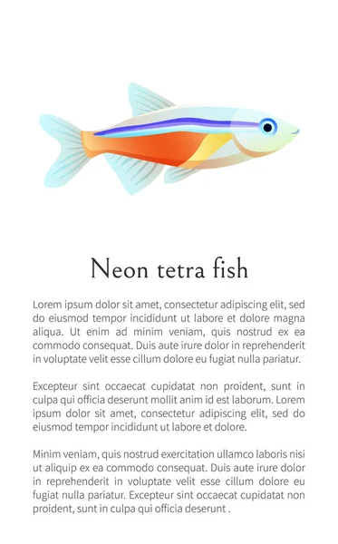 Neon Tetra akvarium fisk isolerad på vit grafisk — Stock vektor