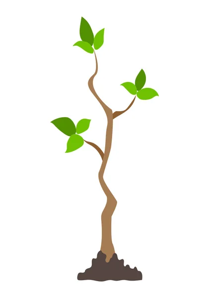 Young Tree at Early Springtime Growing from Earth — Stock Vector