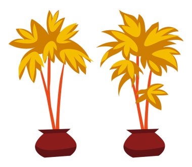 Saksı Vektör dekoratif ev bitki palmiye