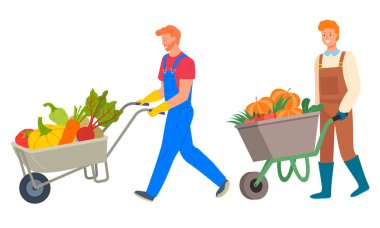 El Arabası Metal Sepeti Sebze yüklü