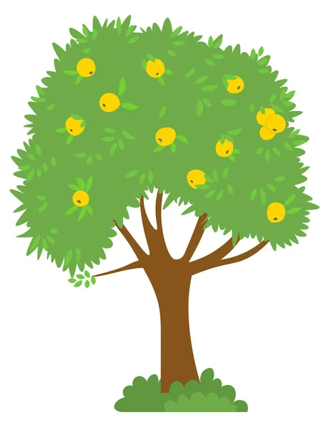Pommier avec des fruits jaunes sur la récolte supérieure — Image vectorielle