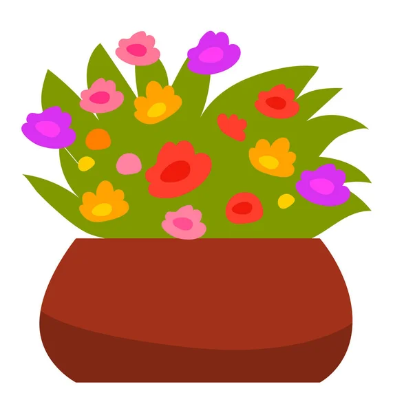 Casa Planta Primer plano, Flores en flor Vector — Vector de stock