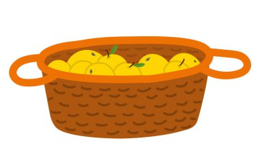 Tahta Sepette Elmalar, Meyve Toplama Vektörü