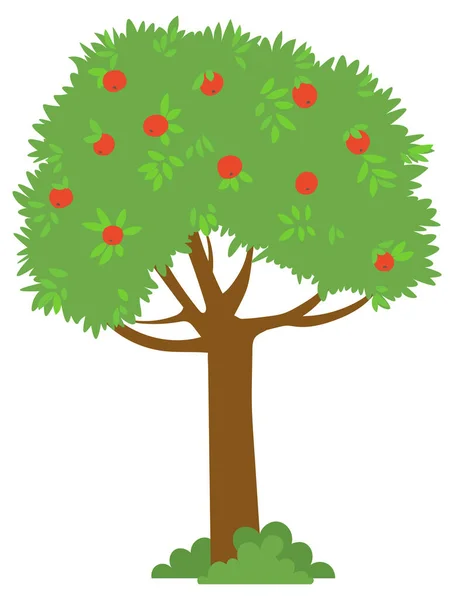 Zbieranie jabłoni, zielone drzewo z wektorem dojrzałego produktu — Wektor stockowy