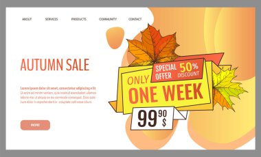 Sonbahar Satışı ve İndirim, Mevsimsel Öneriler