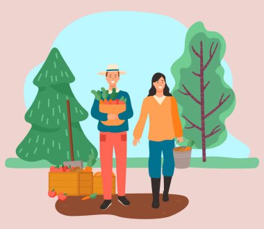 Çiftçiler Sebze Topluyor, Sonbahar Hasat Zamanı