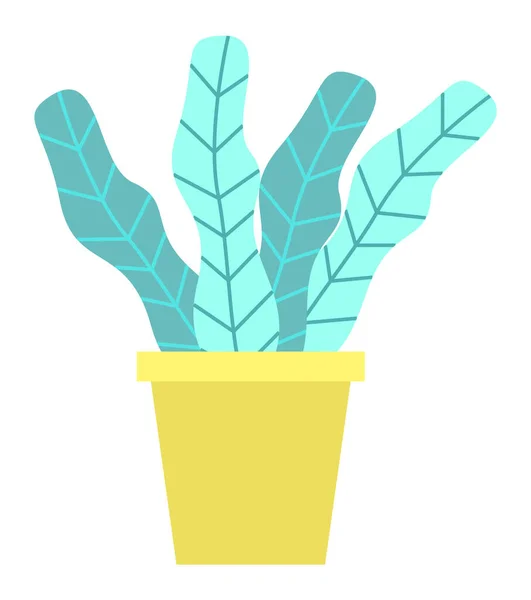 Evergreen Tree in Flowerpot, Cartoon Style Leaves — Stockový vektor