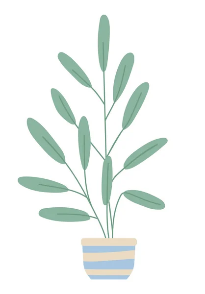Pflanze, die im Topf oder Pflanzkübel wächst. Grüne Zimmerpflanze und Blume — Stockvektor