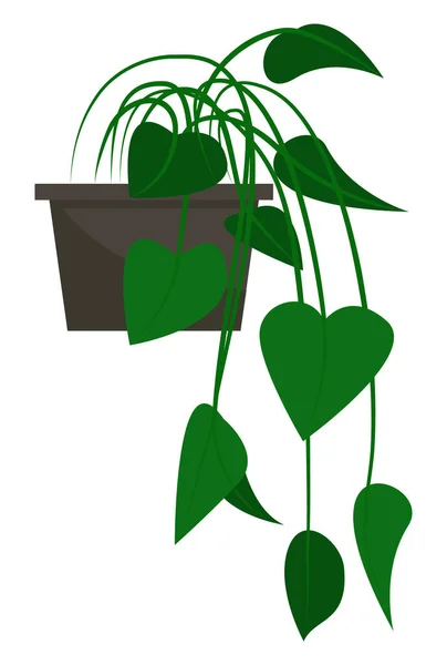 Plante d'intérieur verte, Végétation en pot, Plante d'intérieur — Image vectorielle