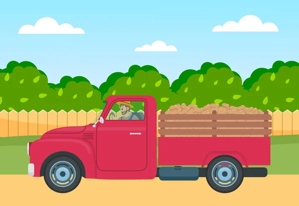 Camião com colheita de batata na parte de trás de uma estrada rural contra uma cerca de madeira e árvores verdes —  Vetores de Stock