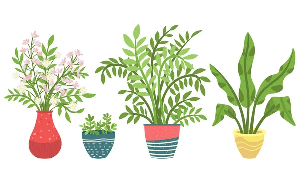 Zimmerpflanze in Vasen, Blumen mit Blütenpracht — Stockvektor