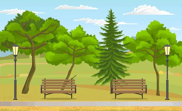 Public park at summer, green nature, wooden benches, street lights, trees, fir tree at background