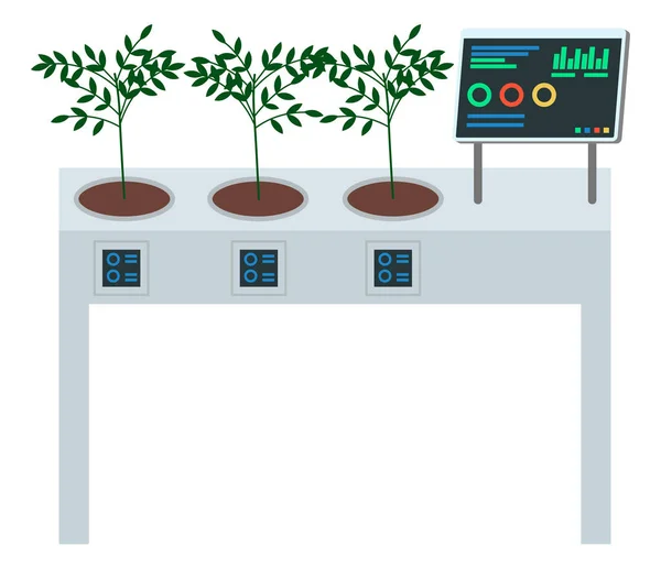 Conceito de mesa digital para plantas em crescimento, caixa de cultivo, controle com computador, tecnologia moderna — Vetor de Stock