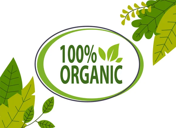 Концепция натурального продукта, 100 органических, экологически чистые плакат или баннер, наклейка с зелеными листьями — стоковый вектор