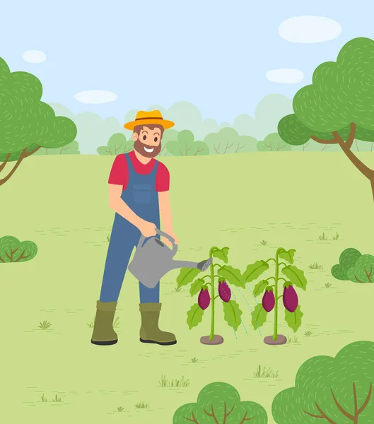 Landbouwersbewatering Aubergines op Farm Vector — Stockvector