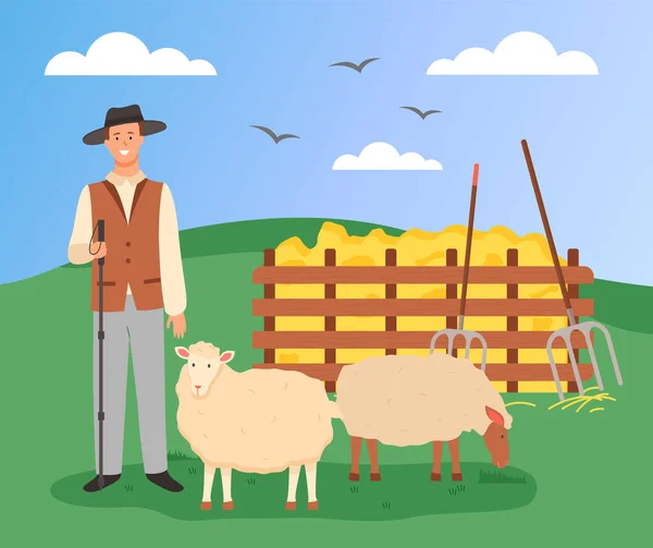 Shepherd and sheep on the green landscape. Hay and pitchforks. Clear skies with birds. Flat image — Stock Vector
