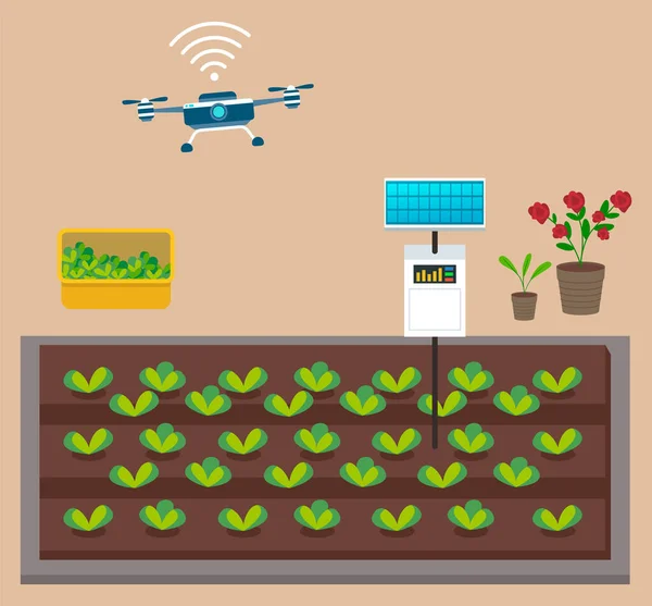 Cultivo de vegetais, usando energia solar. Caixa com alface e vaso com flores. Usando drone e solar —  Vetores de Stock