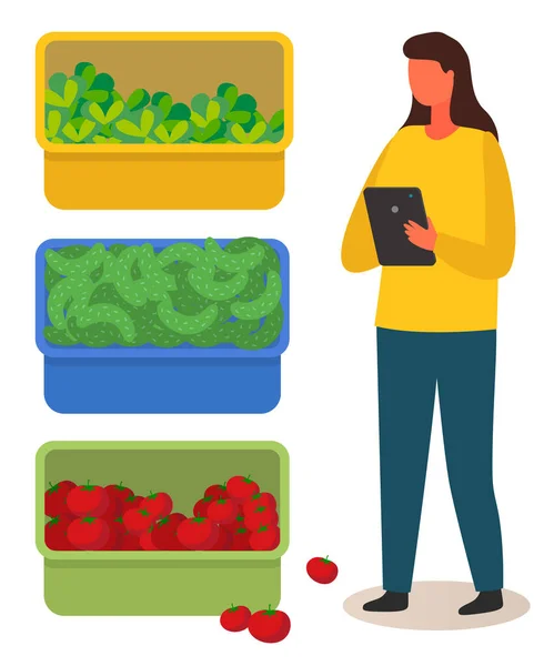 Mulher com tablet conta a colheita de legumes em caixas. Legumes diversos. Agricultura urbana — Vetor de Stock