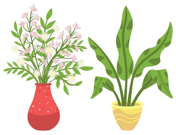 Zimmerpflanze in Vasen, Blumen mit Blütenpracht — Stockvektor