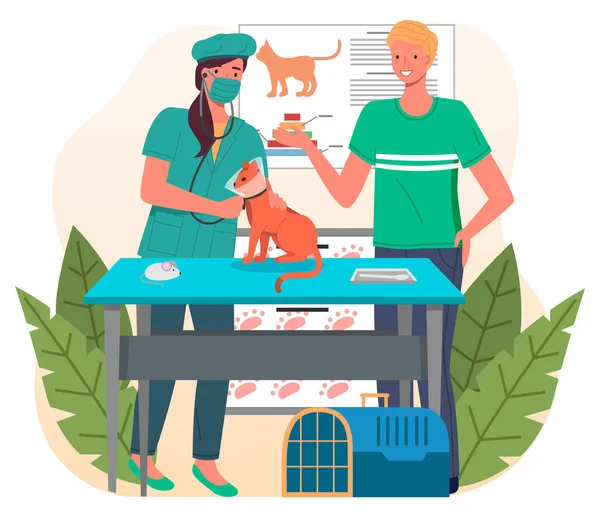 Plochá ilustrace veterinární péče. Veterinární lékař wooman setkat muž s kočkou v lékařské ordinaci — Stockový vektor