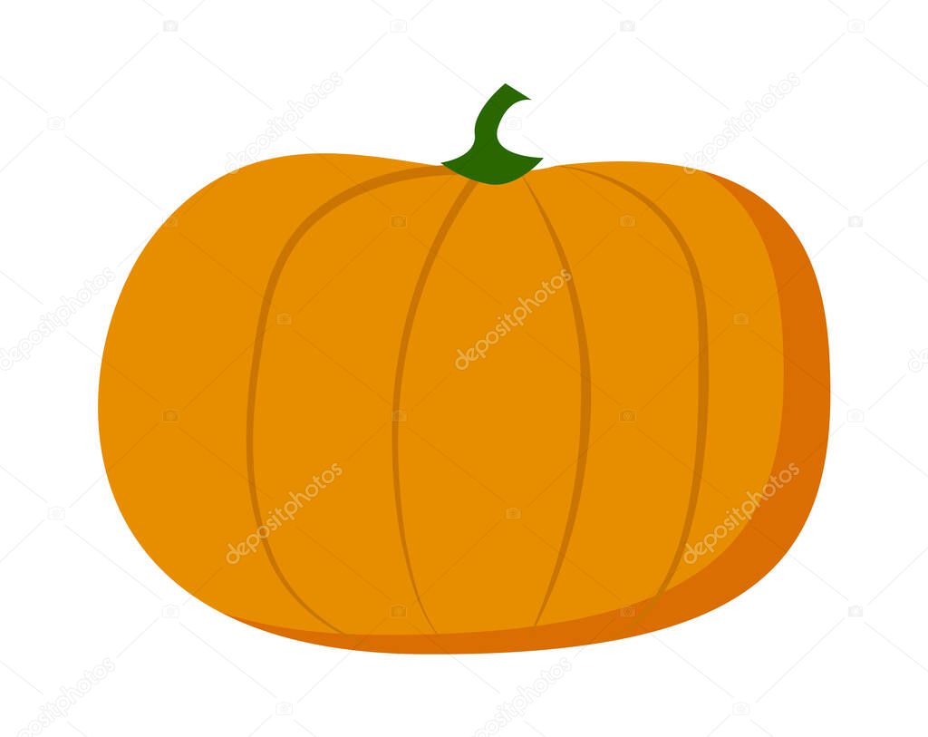 Pumpkin isolated at white background, sweet eco natural vegetable, fresh crop, agriculture